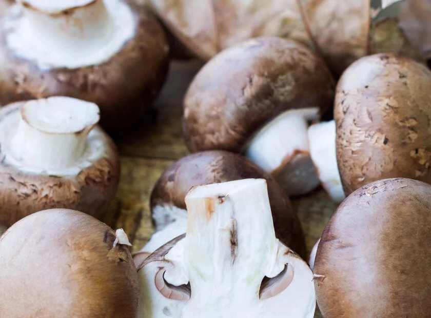 Cholibrium™ Royal Agaricus functional mushroom